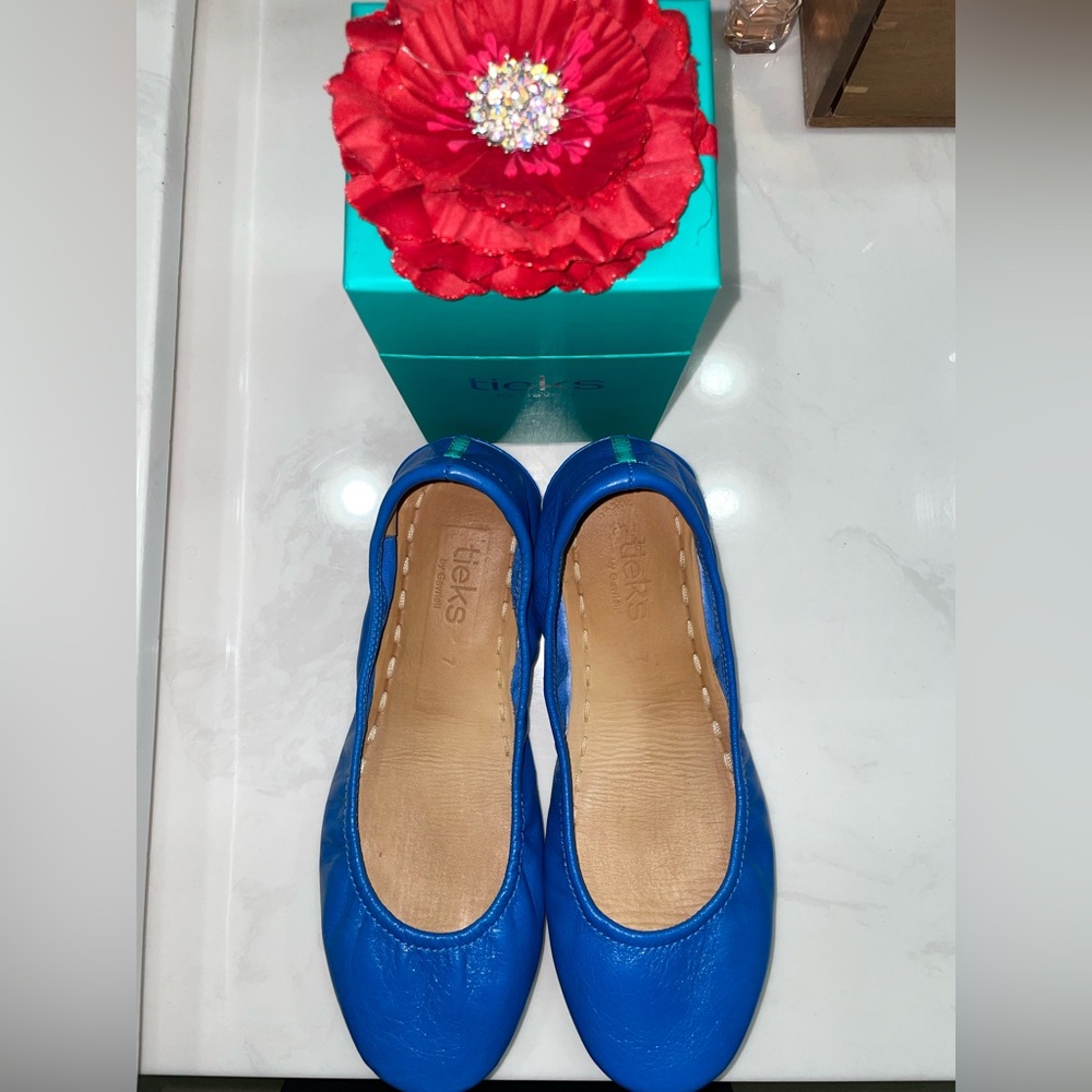 Tieks Cobalt Blue ballet flats.
